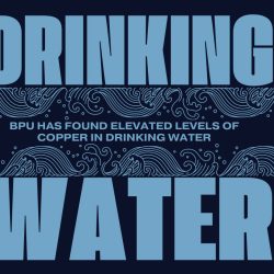 Drinking Water: Copper Levels